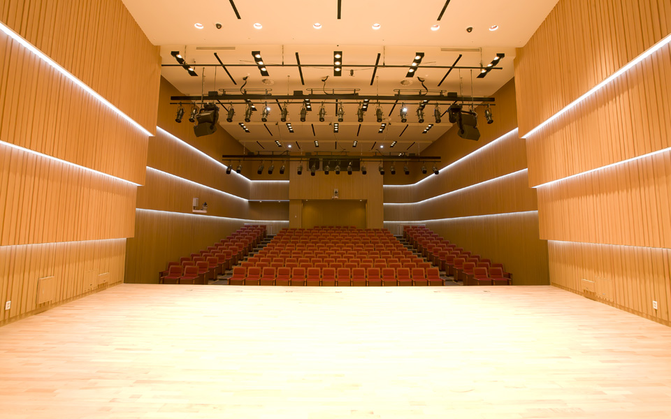 Daegu-Concert-House_Chamber Hall Augusto Meijer